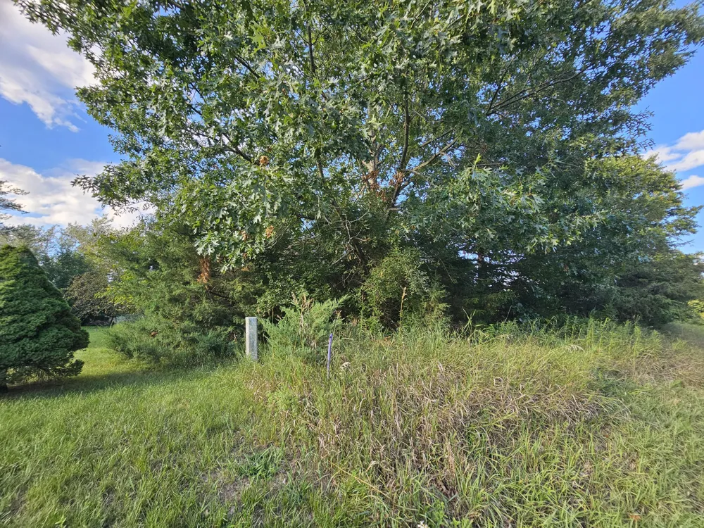 6420 Kelley Road Brooklyn, MI 49230