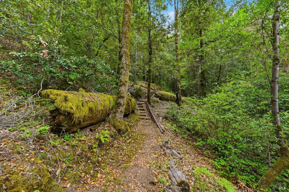 19300 Fort Ross Road Cazadero, CA 95421