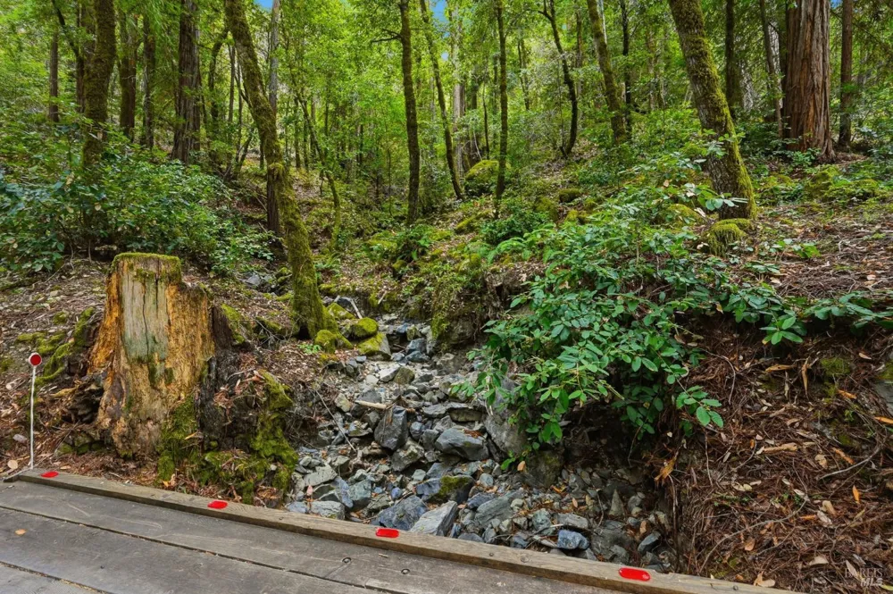 19300 Fort Ross Road Cazadero, CA 95421