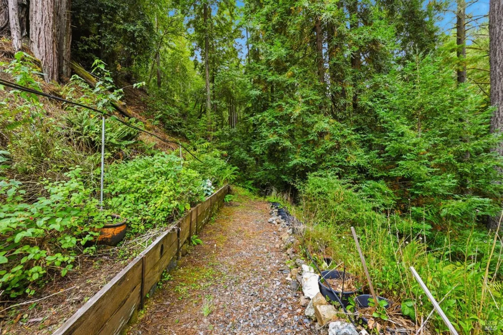 19300 Fort Ross Road Cazadero, CA 95421