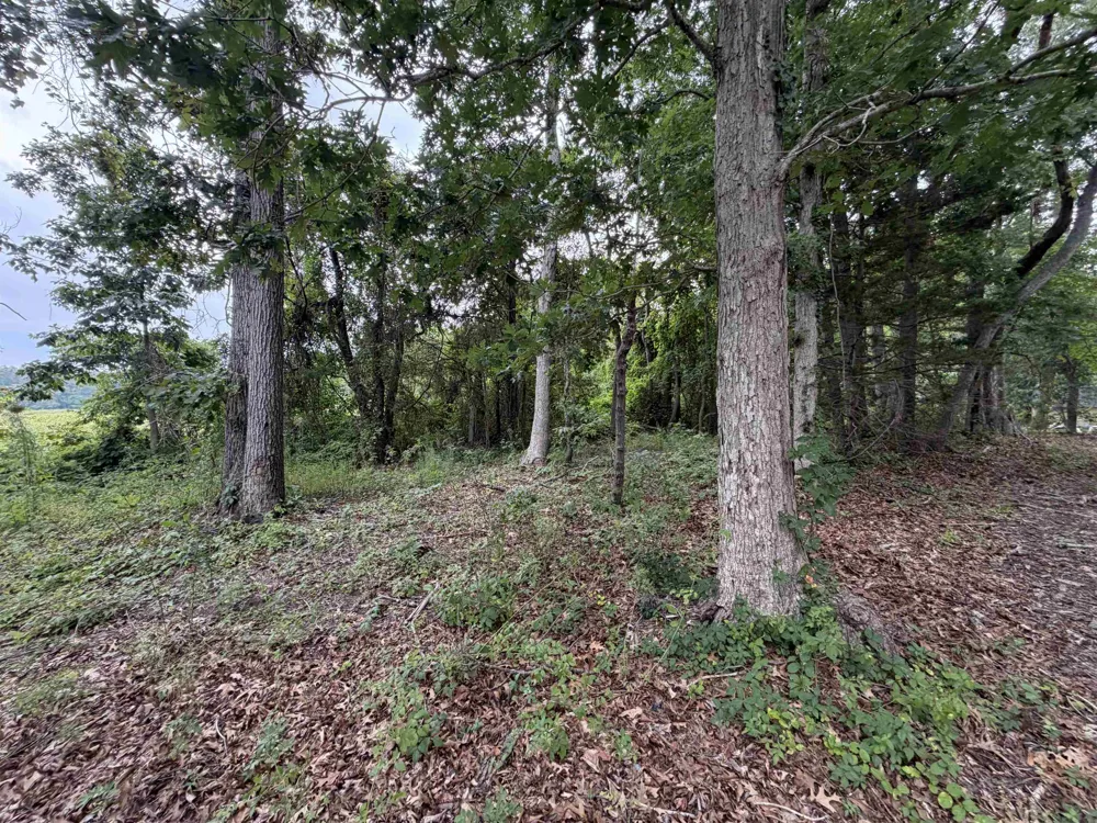 128 Holly Drive Rio Grande, NJ 08242