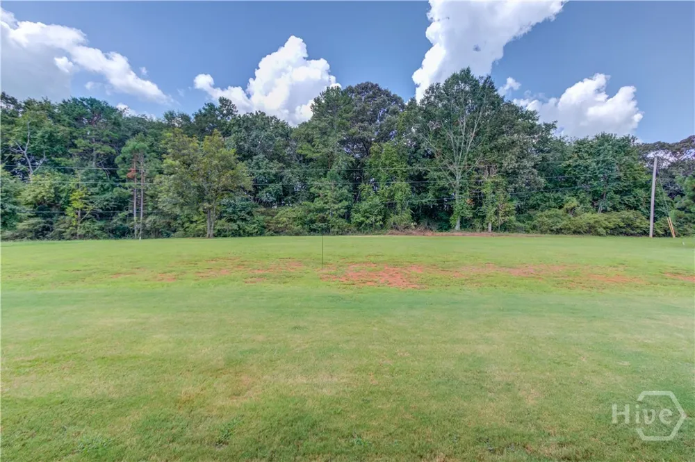 1173 Pine View Trail Monroe, GA 30656