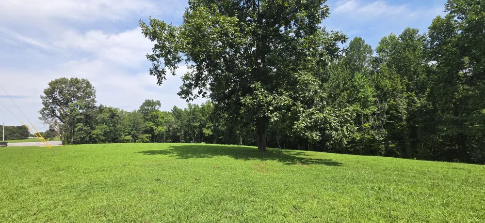251 Tisdale Dr Smithville, TN 37166