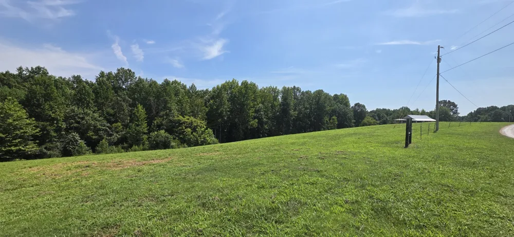 251 Tisdale Dr Smithville, TN 37166