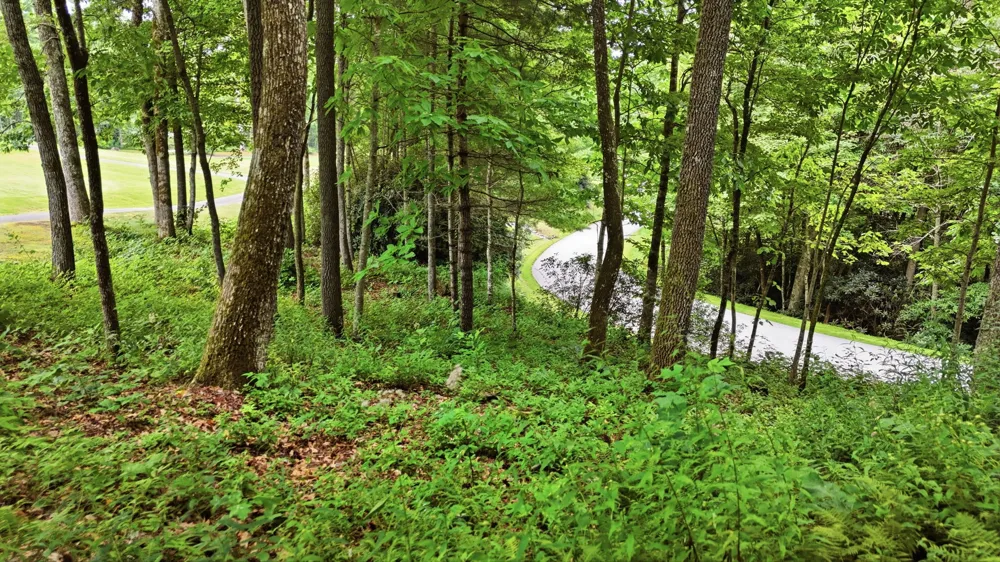 LT 37 Lilium Lane Cullowhee, NC 28723