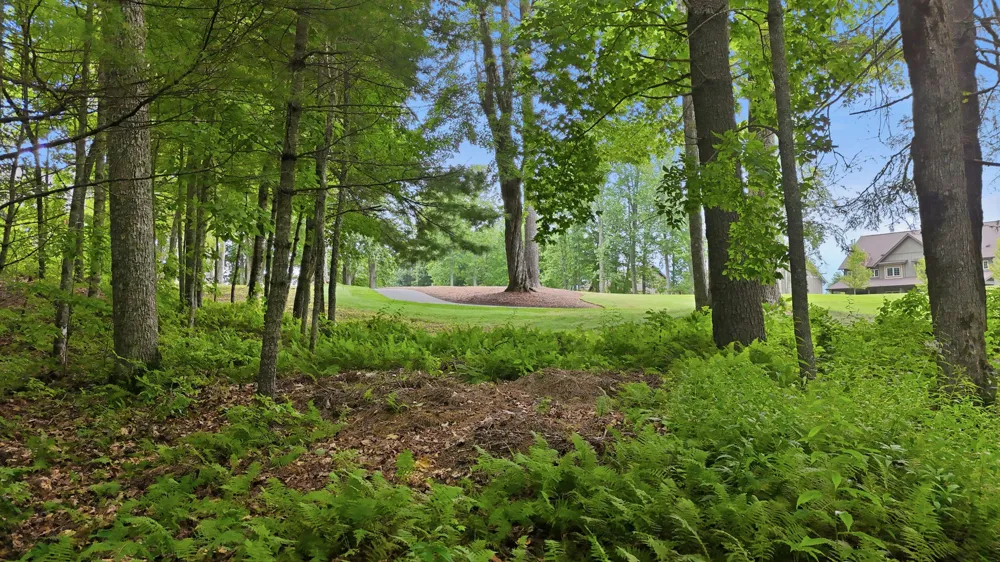 LT 37 Lilium Lane Cullowhee, NC 28723