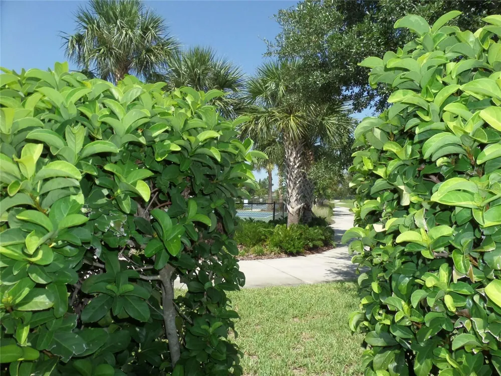 7832 PENROSE PLACE Wildwood, FL 34785