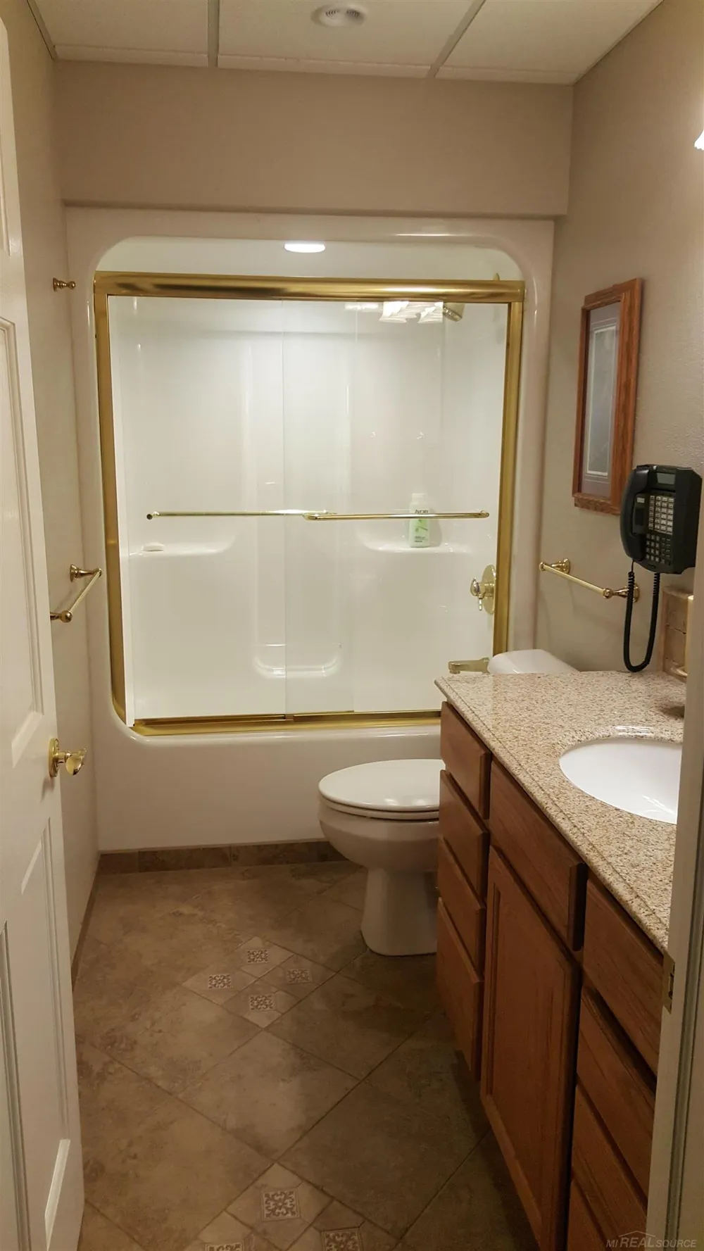 10920 Woodbrook Drive Somerset Township, MI 49233
