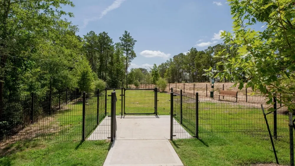 218 Mouflon Drive Huntsville, TX 77320