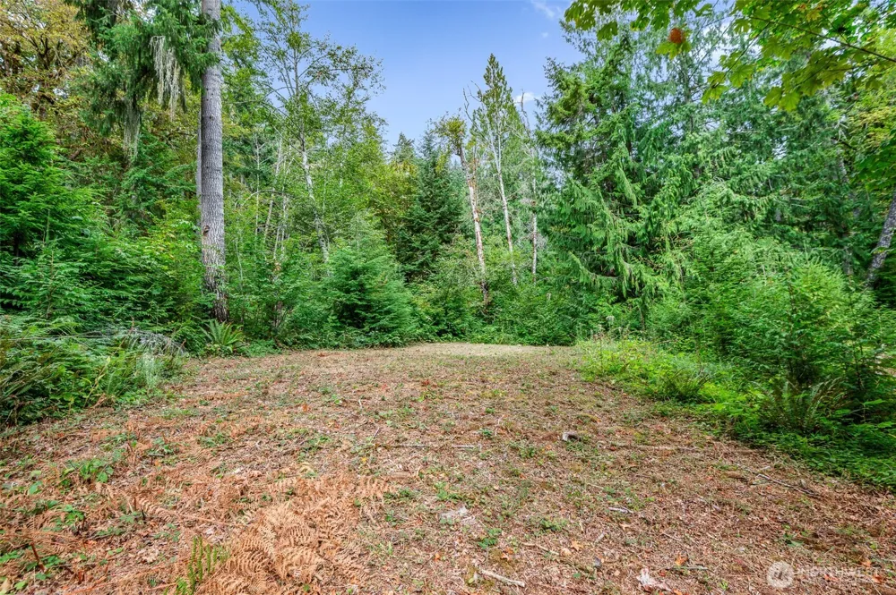 2190 W Cushman Ridge Drive Hoodsport, WA 98563