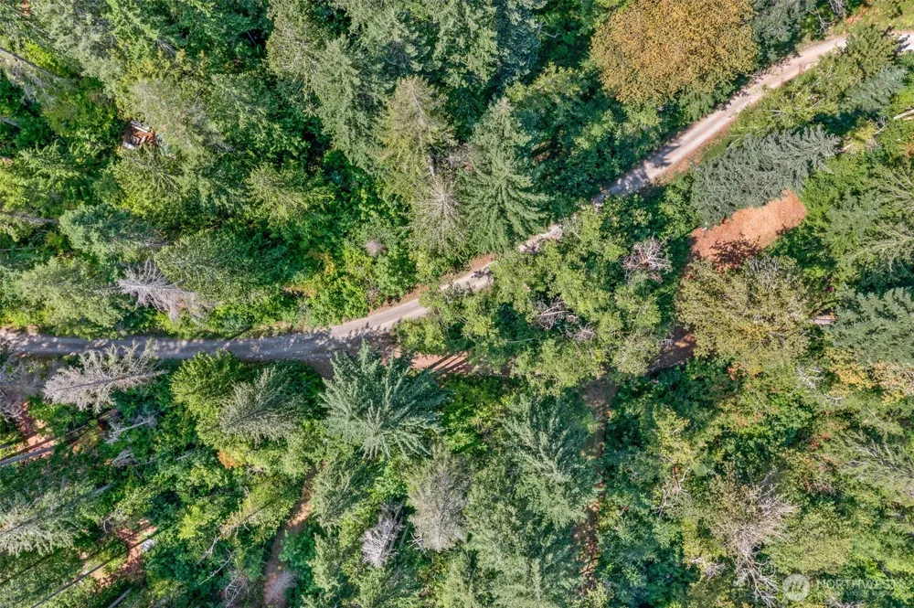 2190 W Cushman Ridge Drive Hoodsport, WA 98563