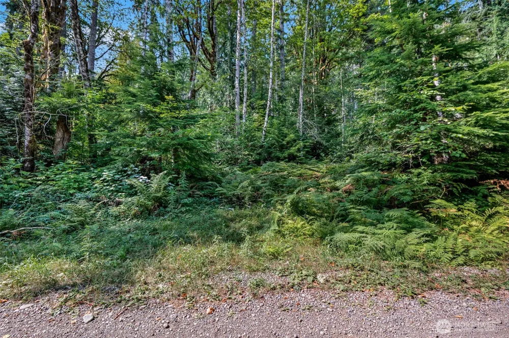 2190 W Cushman Ridge Drive Hoodsport, WA 98563