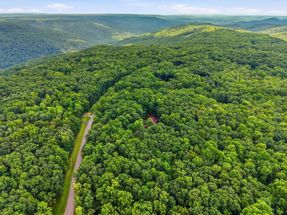 452 Cumberland Cove Rd Monterey, TN 38574
