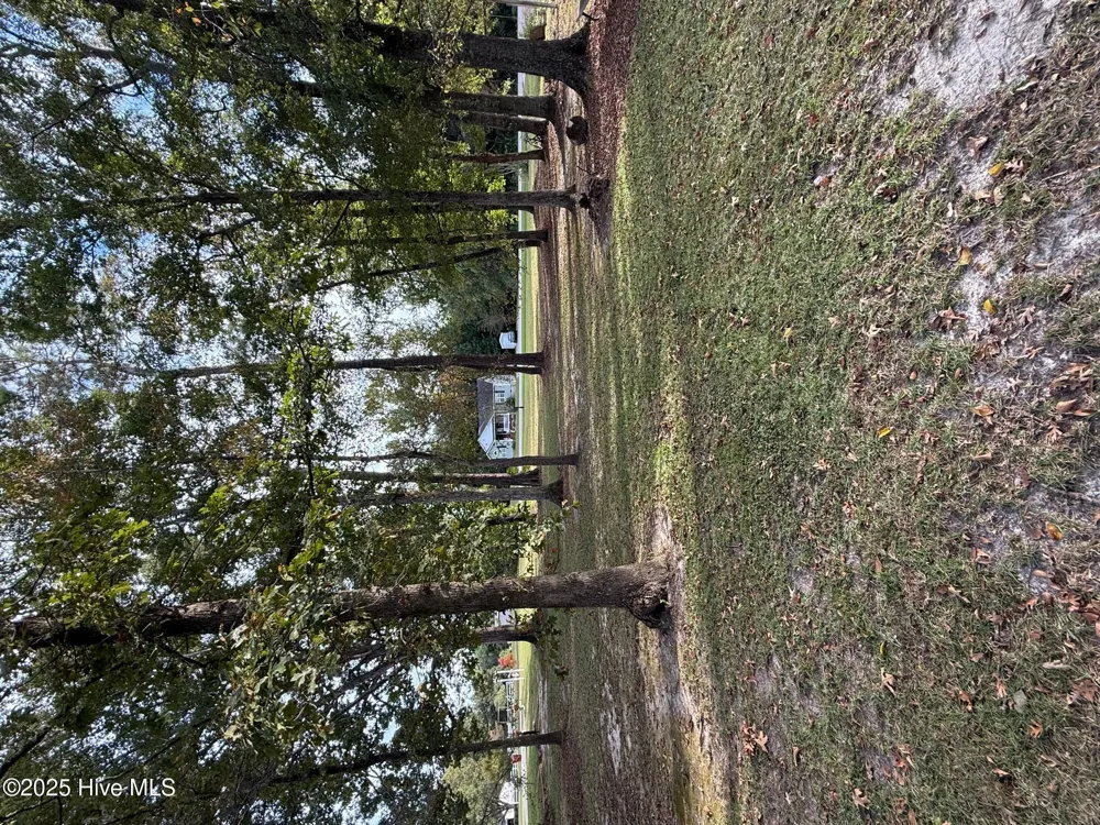 Lot #1 Prison Camp Road Whiteville, NC 28472