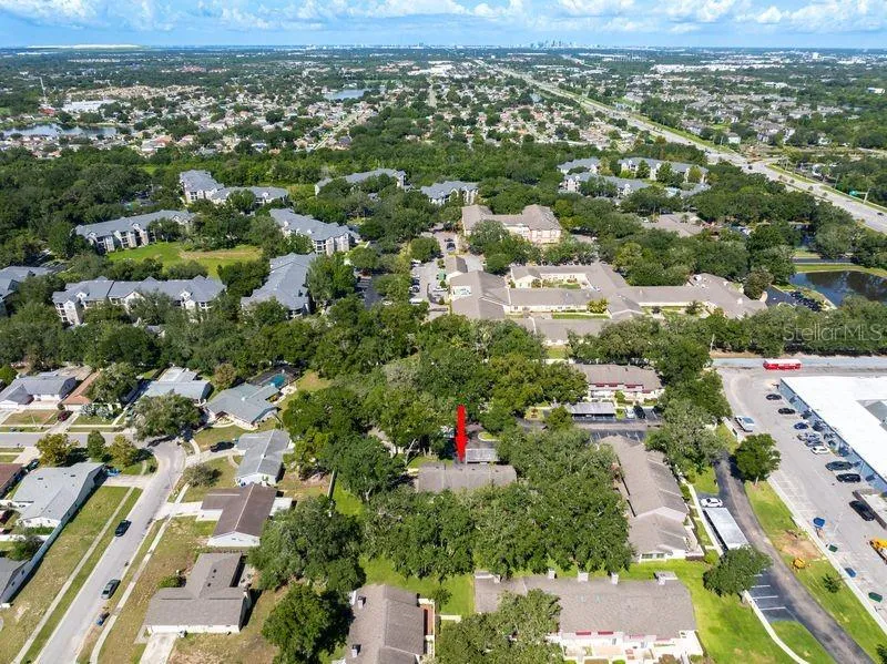 819 OAK PARK PLACE Brandon, FL 33511