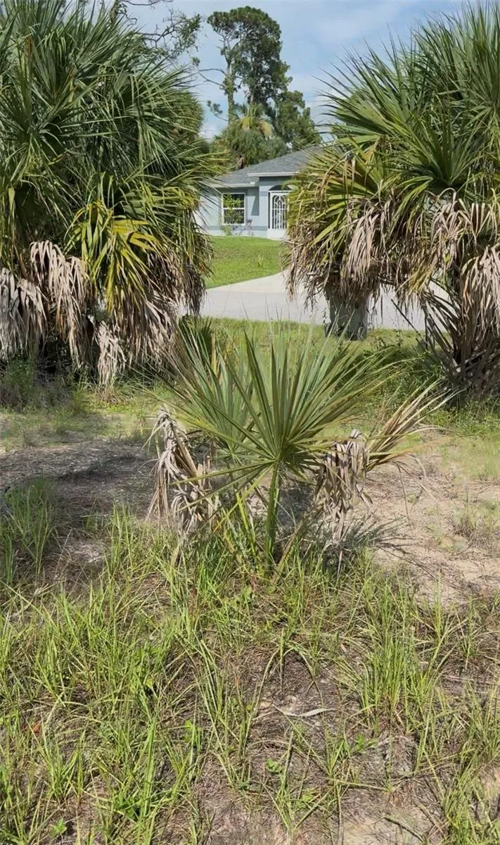 JOHANNESBERG ROAD North Port, FL 34288