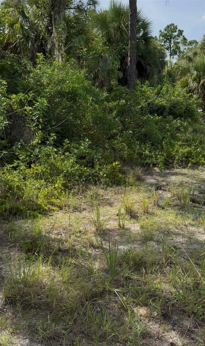 JOHANNESBERG ROAD North Port, FL 34288