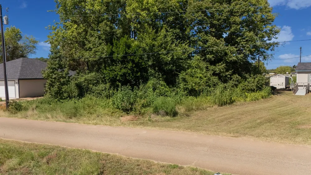 349 Balmorea Drive Bullard, TX 75757