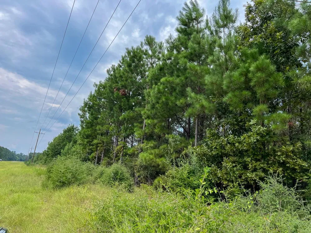 23 Highway 94 Road Groveton, TX 75845