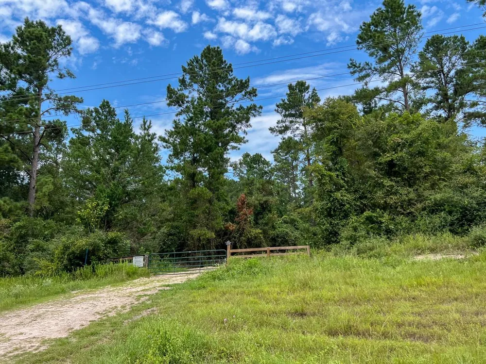 23 Highway 94 Road Groveton, TX 75845