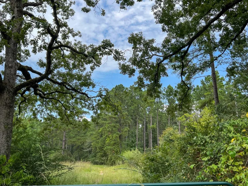 23 Highway 94 Road Groveton, TX 75845