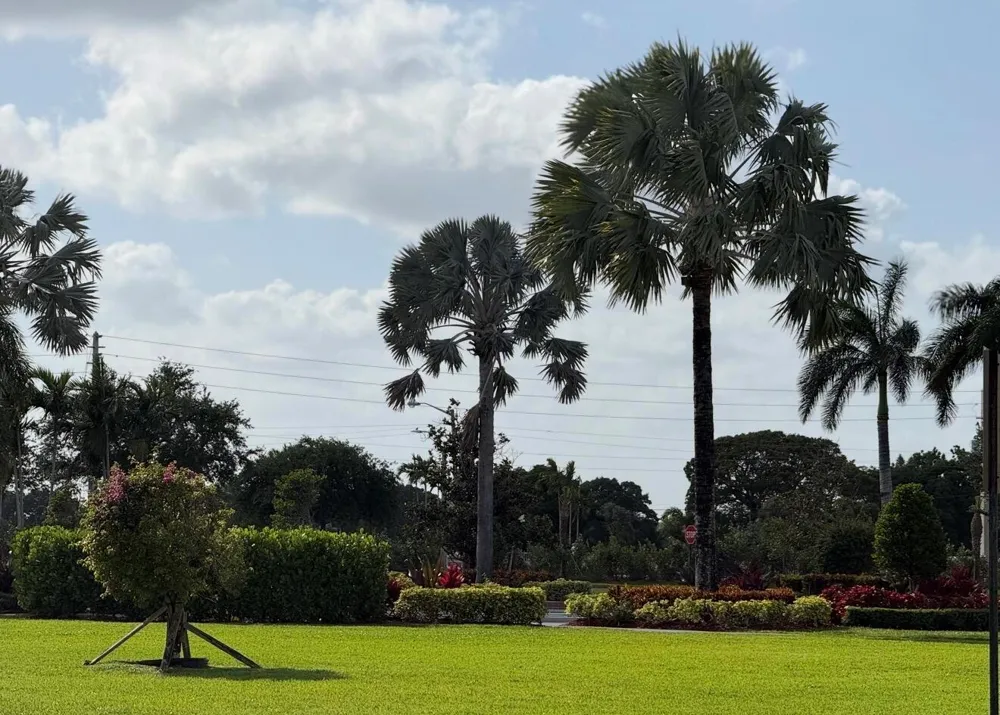 412 BRIGHTON J Boca Raton, FL 33434