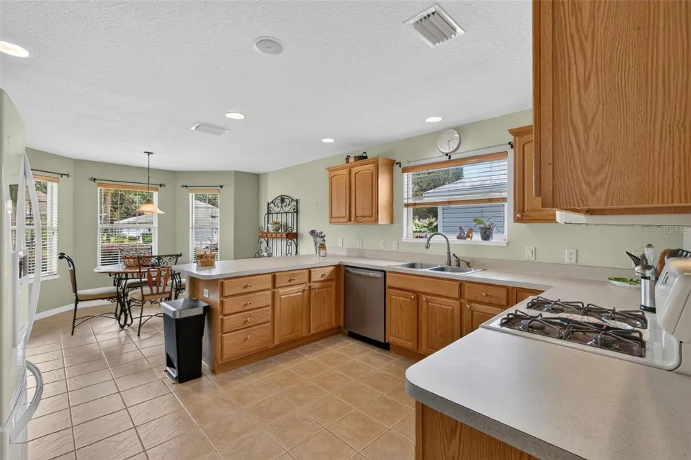16573 SE 77TH NORTHRIDGE COURT The Villages, FL 32162