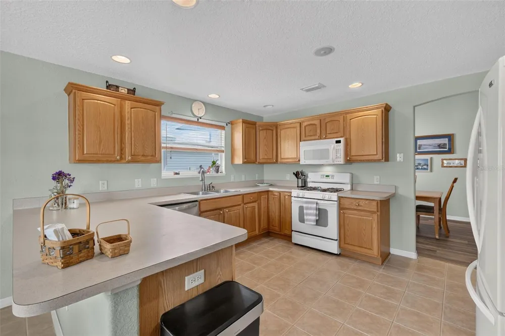 16573 SE 77TH NORTHRIDGE COURT The Villages, FL 32162