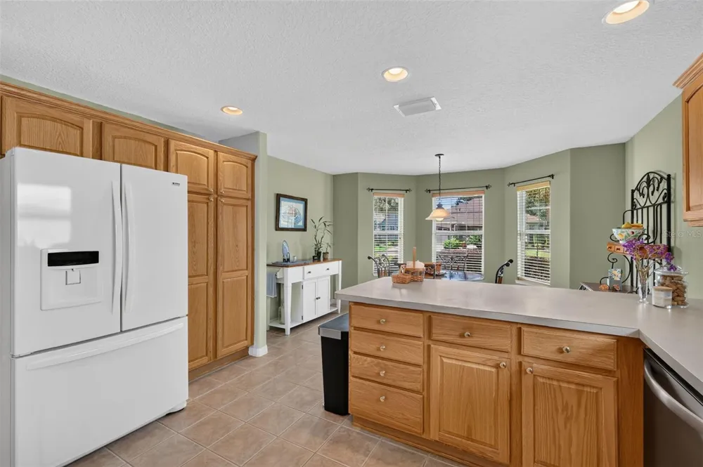 16573 SE 77TH NORTHRIDGE COURT The Villages, FL 32162