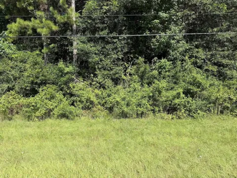 Farm To Market Hwy 92