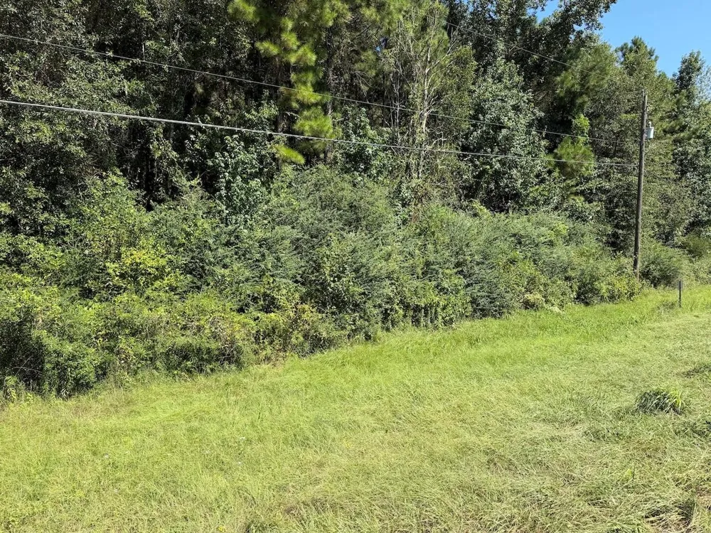 Farm To Market Hwy 92 Spurger, TX 77660