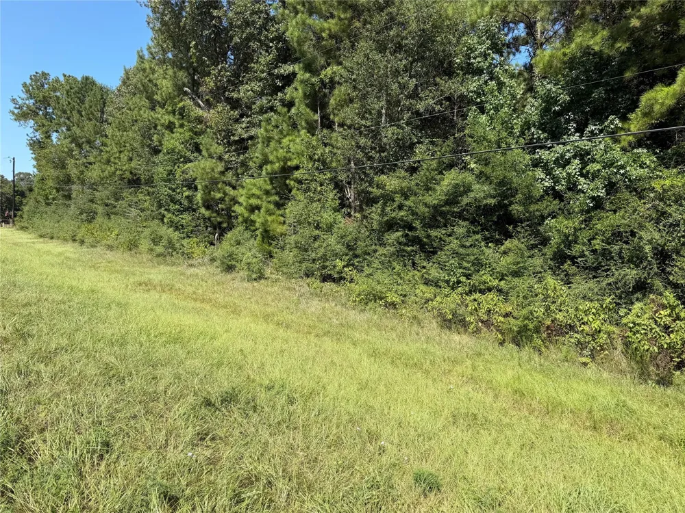 Farm To Market Hwy 92 Spurger, TX 77660