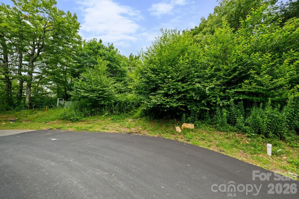 Lot 96 Cloud Spring Drive #96 Sugar Mountain, NC 28604