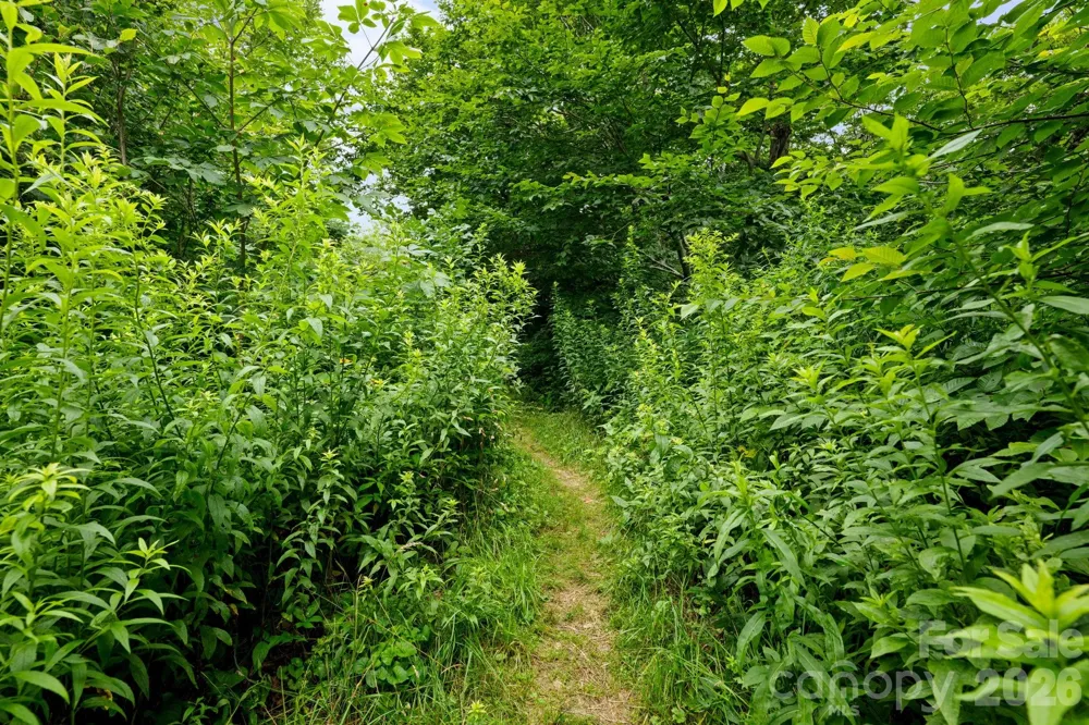 Lot 96 Cloud Spring Drive #96 Sugar Mountain, NC 28604