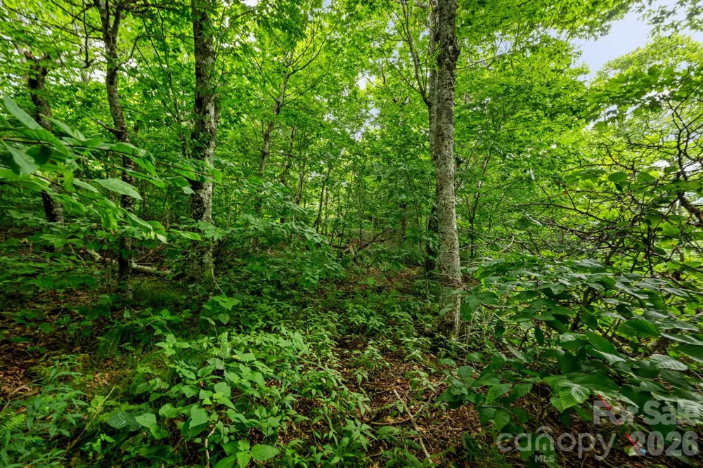 Lot 96 Cloud Spring Drive #96 Sugar Mountain, NC 28604