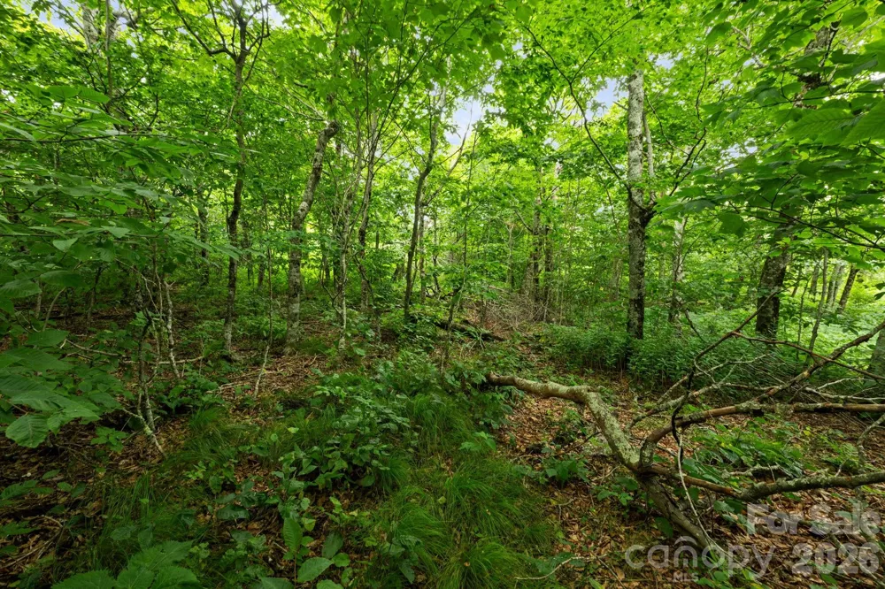 Lot 96 Cloud Spring Drive #96 Sugar Mountain, NC 28604