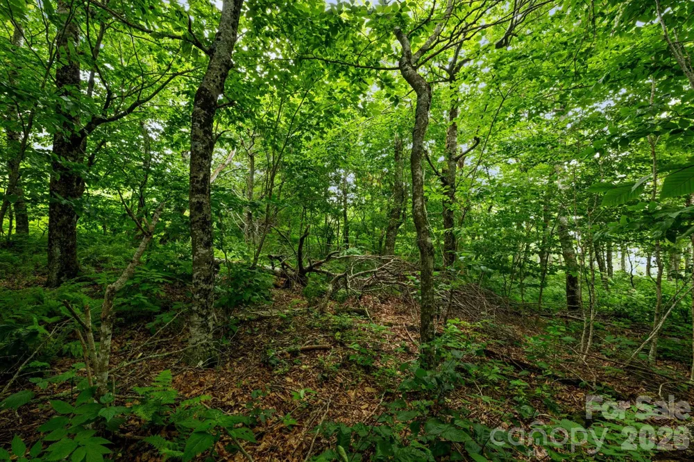 Lot 96 Cloud Spring Drive #96 Sugar Mountain, NC 28604