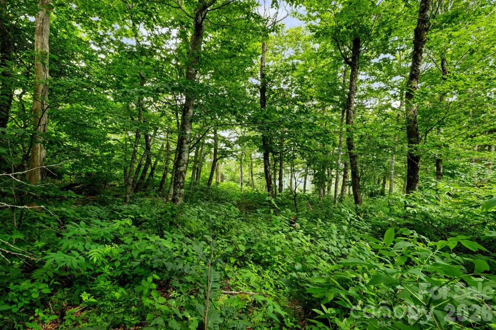 Lot 96 Cloud Spring Drive #96 Sugar Mountain, NC 28604