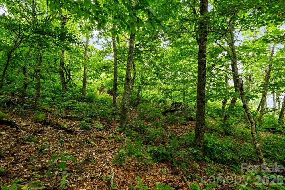 Lot 96 Cloud Spring Drive #96 Sugar Mountain, NC 28604
