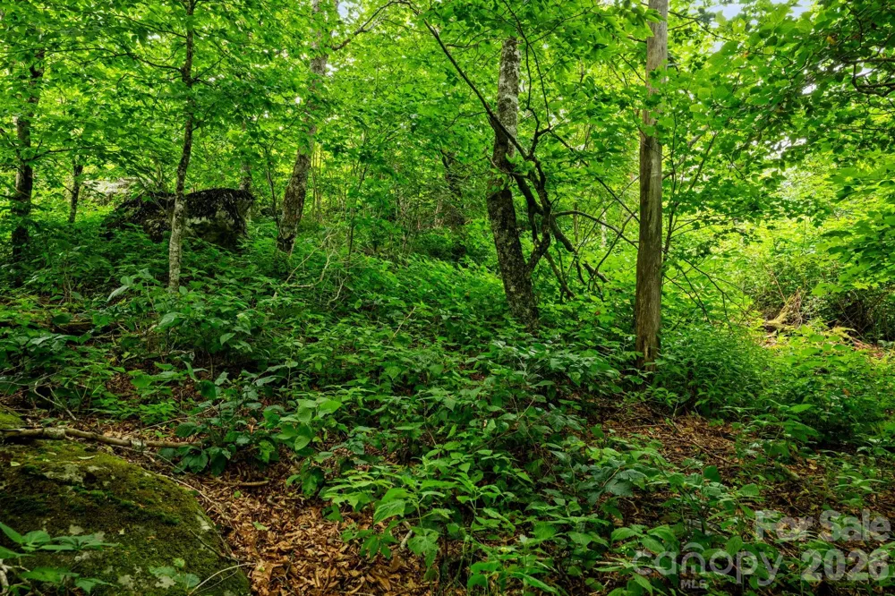 Lot 96 Cloud Spring Drive #96 Sugar Mountain, NC 28604