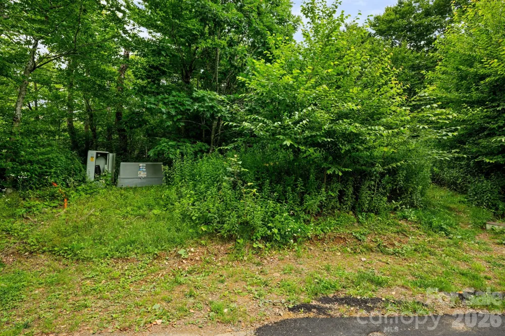 Lot 96 Cloud Spring Drive #96 Sugar Mountain, NC 28604