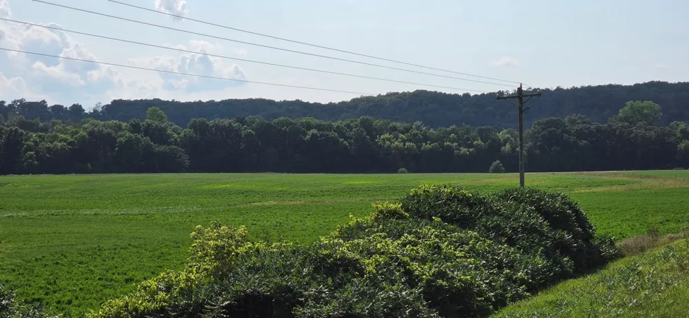21 County Road Mazeppa, MN 55956