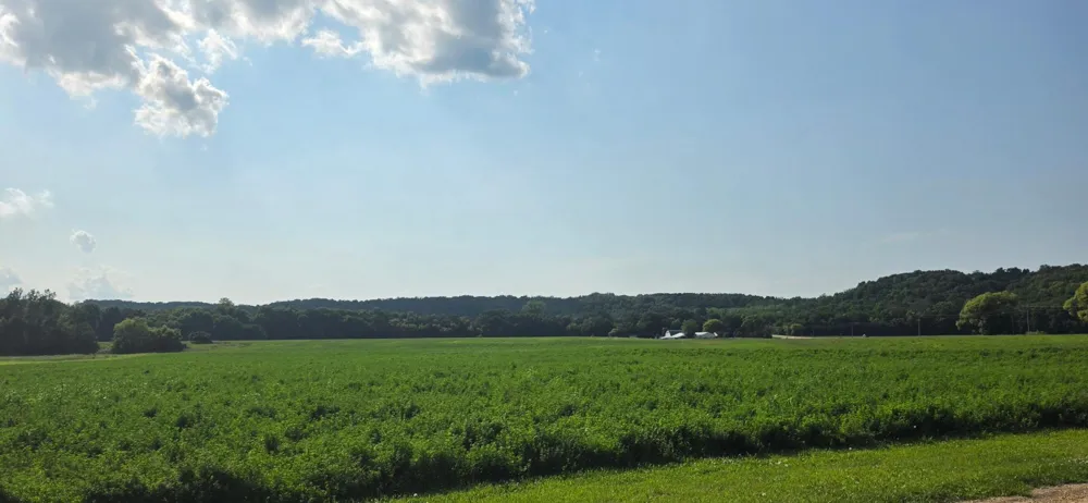 21 County Road Mazeppa, MN 55956