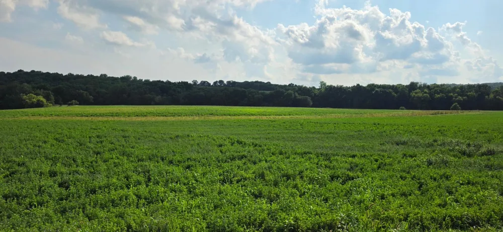 21 County Road Mazeppa, MN 55956