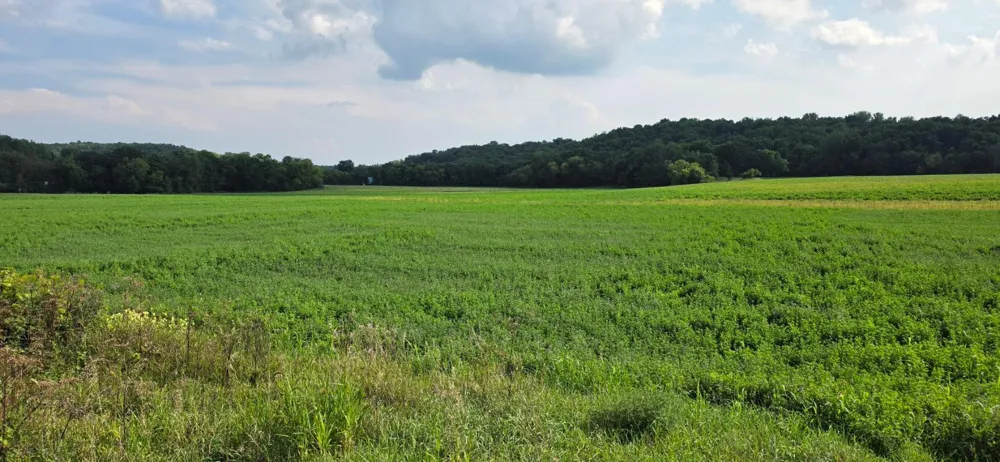 21 County Road Mazeppa, MN 55956