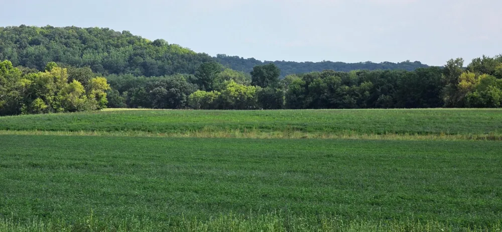 21 County Road Mazeppa, MN 55956