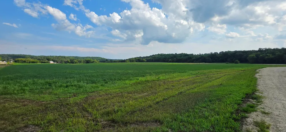 21 County Road Mazeppa, MN 55956
