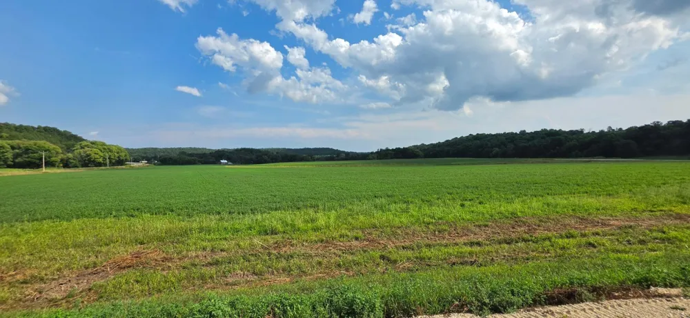 21 County Road Mazeppa, MN 55956