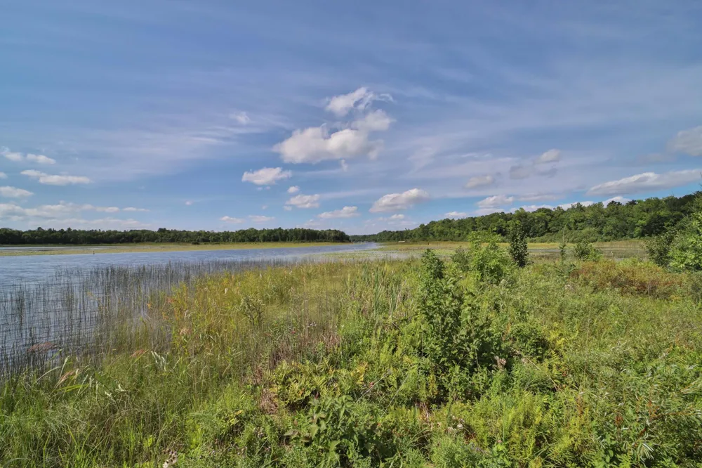 1899 Fern Trail NE Remer, MN 56672
