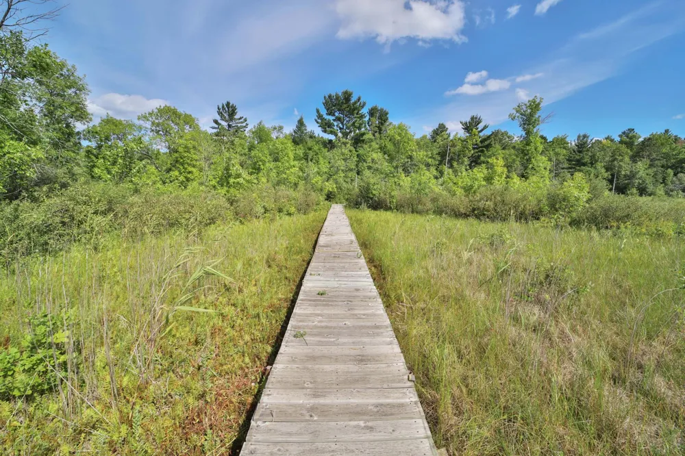 1899 Fern Trail NE Remer, MN 56672